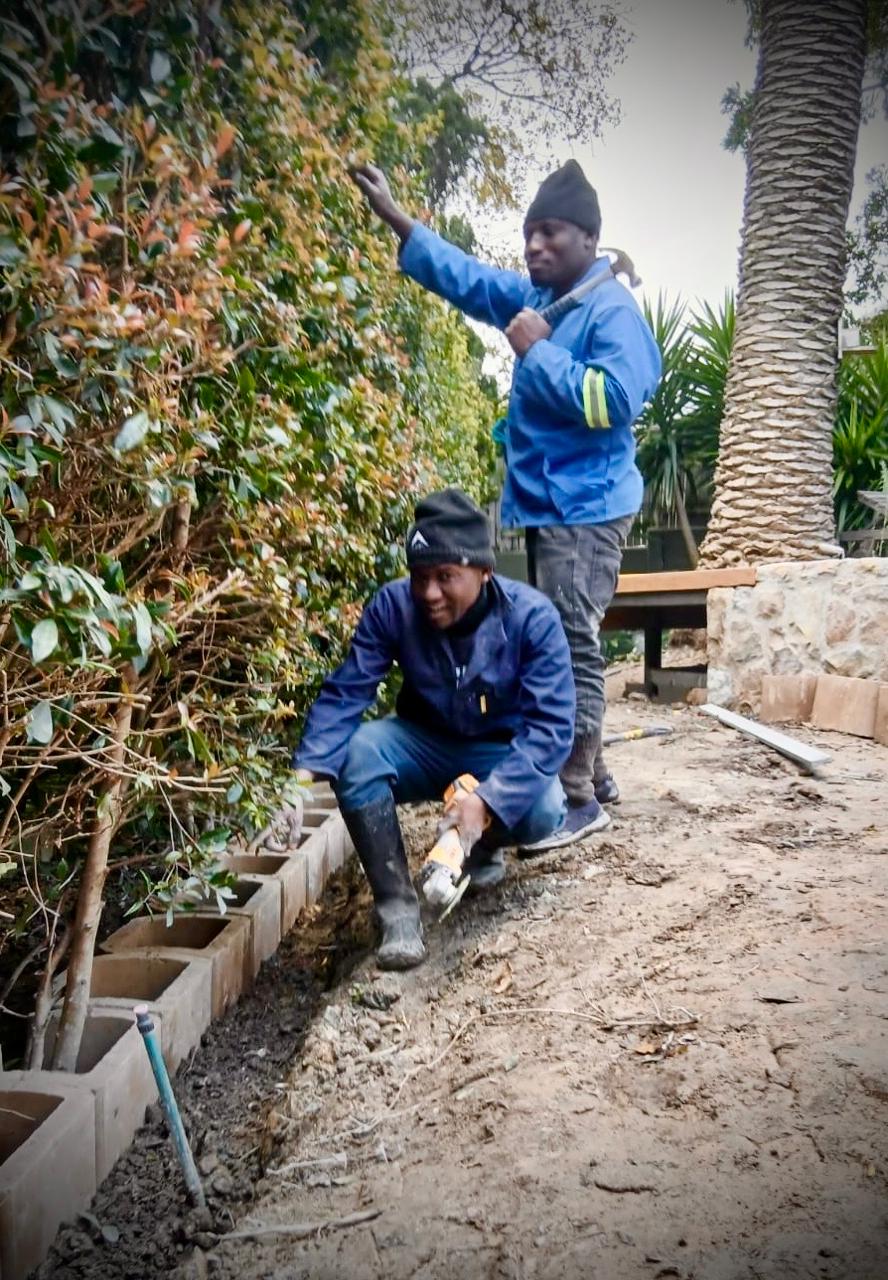 Two people working on garden edging beside a hedge